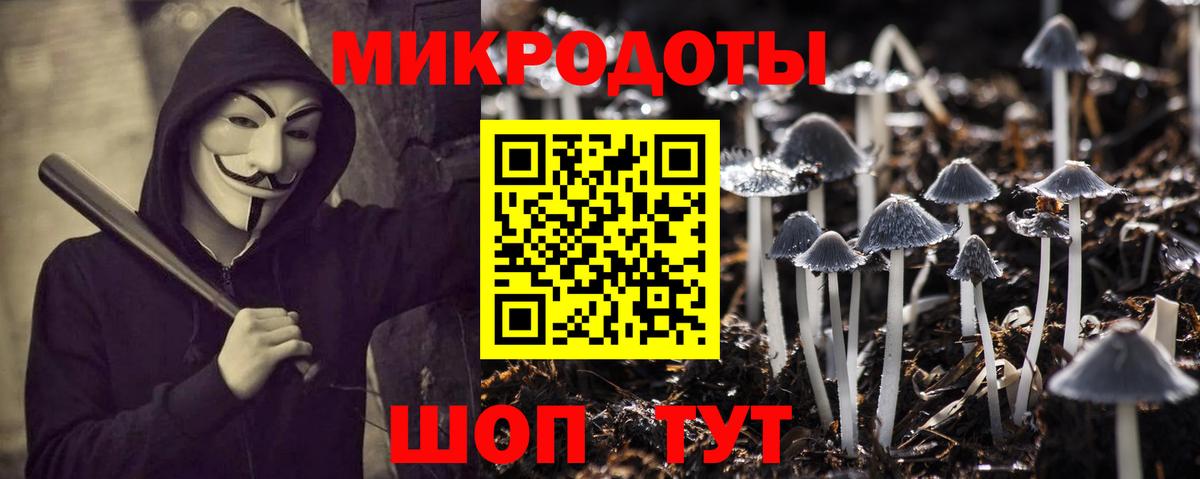 Псилоцибиновые грибы Cubensis Уссурийск