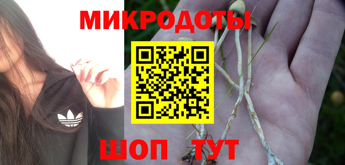 Уссурийск  Псилоцибиновые грибы ЛСД  купить наркотики цена  Вход с VPN 